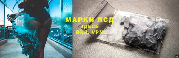 трава Ельня
