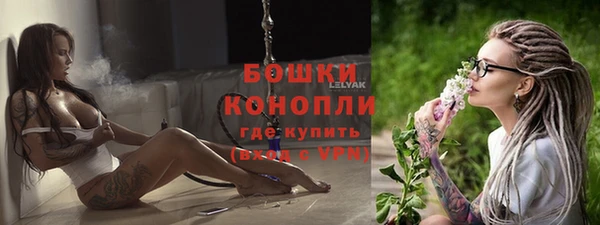 трава Ельня