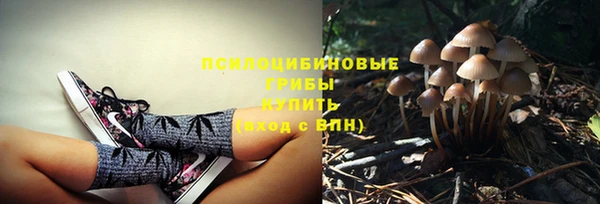 стаф Елабуга