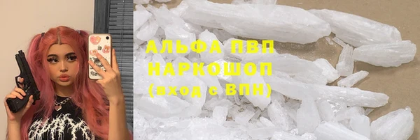 стаф Елабуга