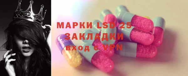 стаф Елабуга