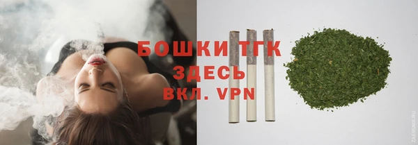 трава Ельня