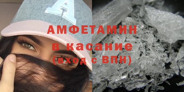 трава Ельня