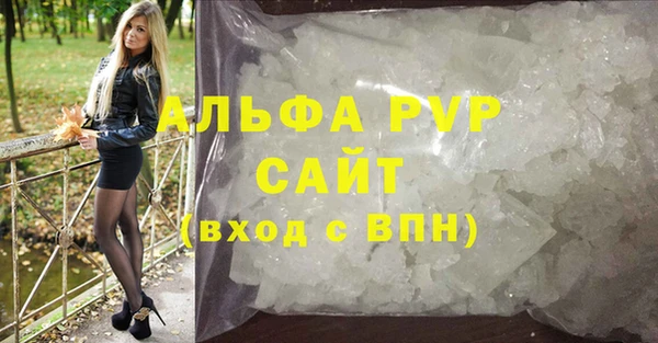 трава Ельня