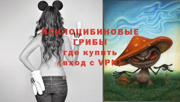 трава Ельня
