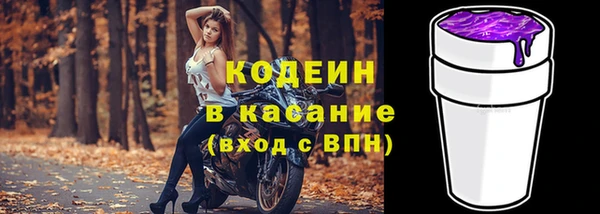трава Ельня